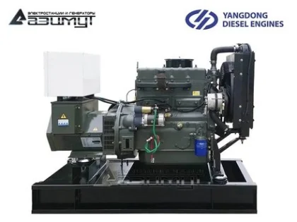 Дизельный генератор АД-30С-Т400-1РМ55 с двигателем YANGDONG
